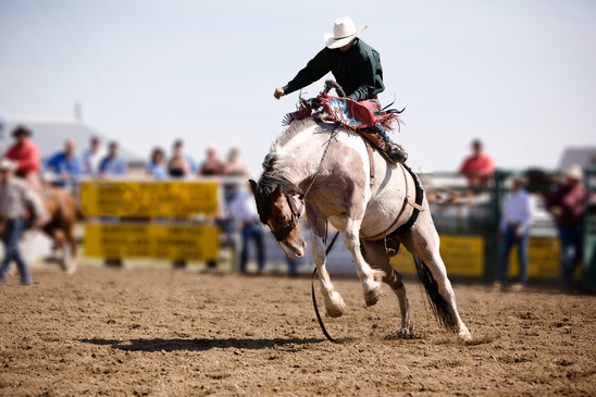 Rodeo in Arizona